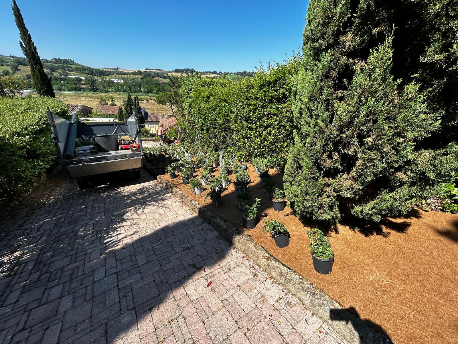 Community garden project and environmental impact