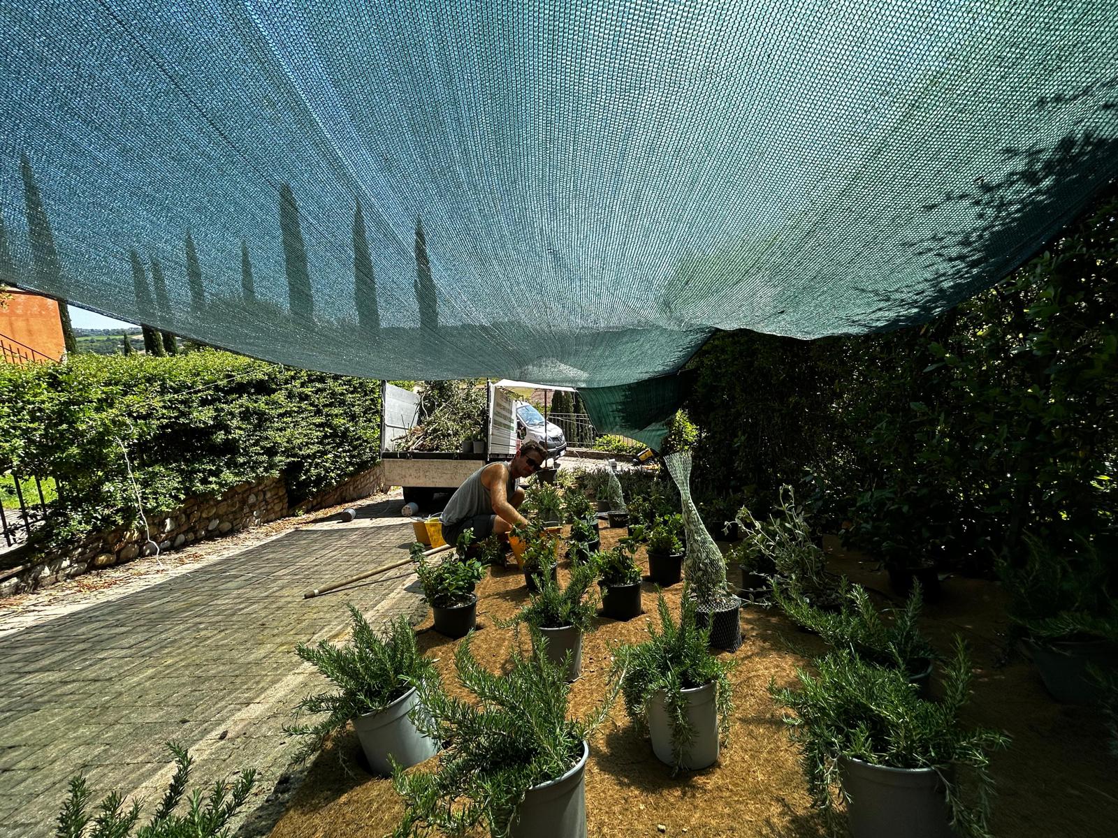 Giardiniere professionista al lavoro su un’aiuola.