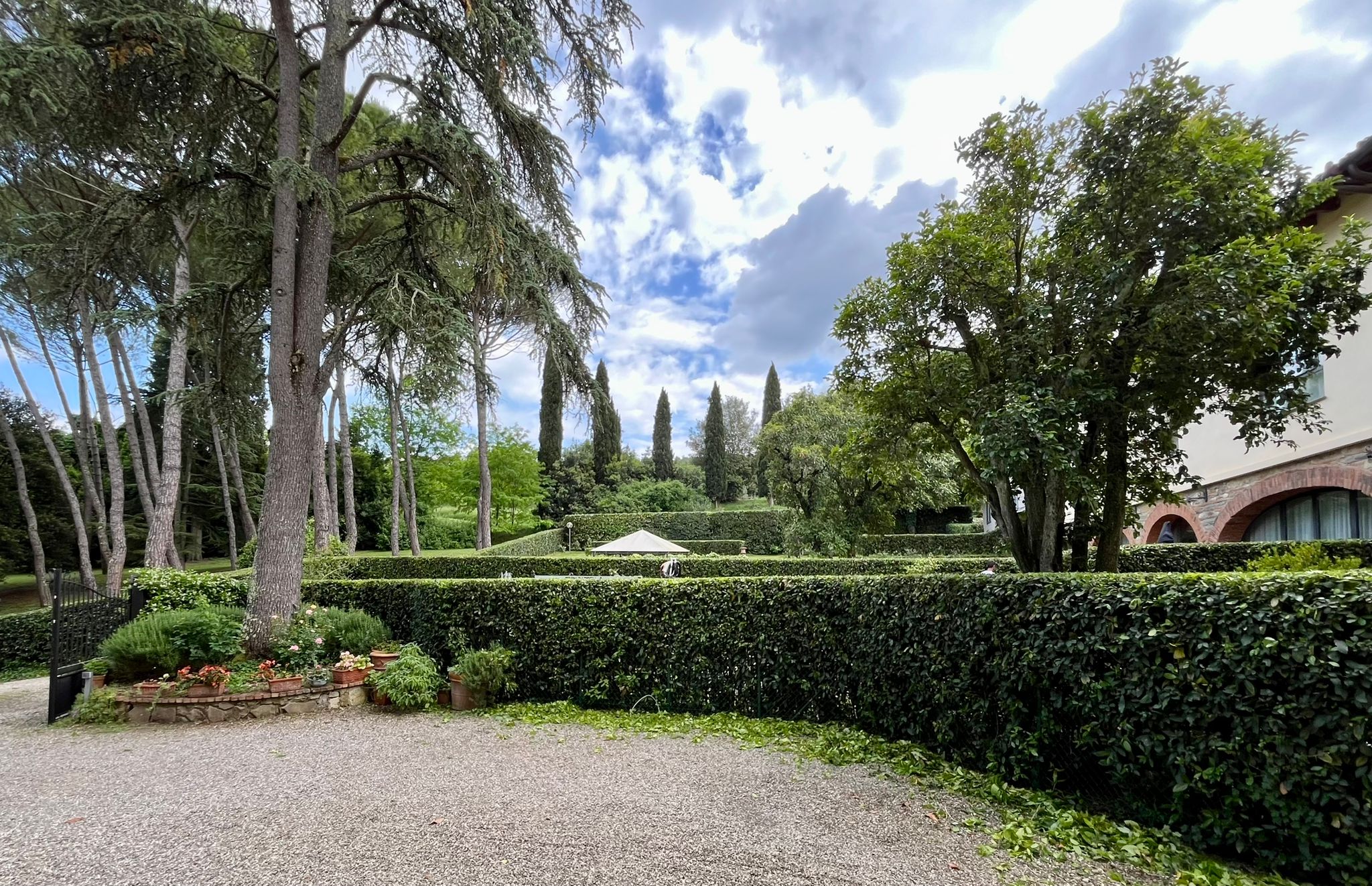 The founding story of GreenThumb Gardens
